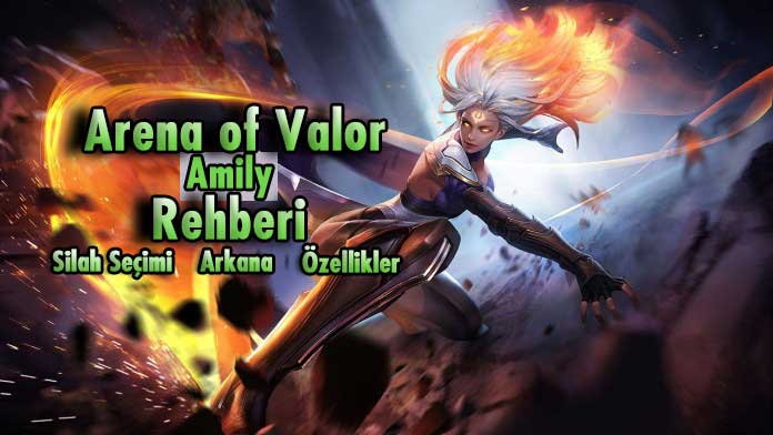 arena of valor amily build