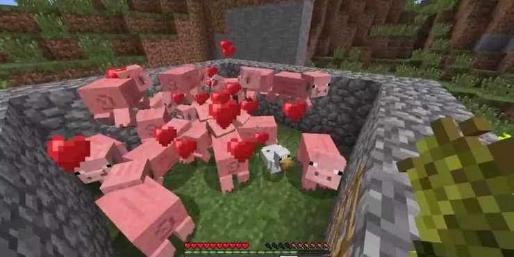 Minecraft-Breeding