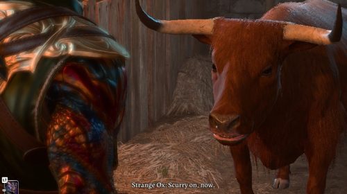 baldurs gate 3 Strange Ox