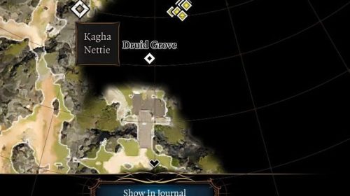 baldurs gate 3 görev yerini bulma