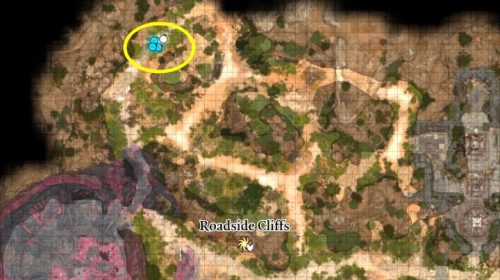 baldurs gate 3 kürek nerede